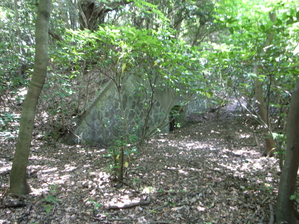 f:id:Yagyu8bei:20180603121516j:plain