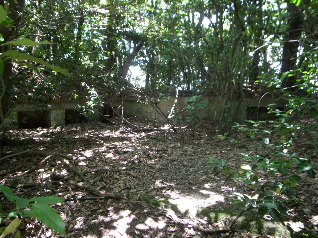 f:id:Yagyu8bei:20180603121539j:plain f:id:Yagyu8bei:20180603121539j:plain