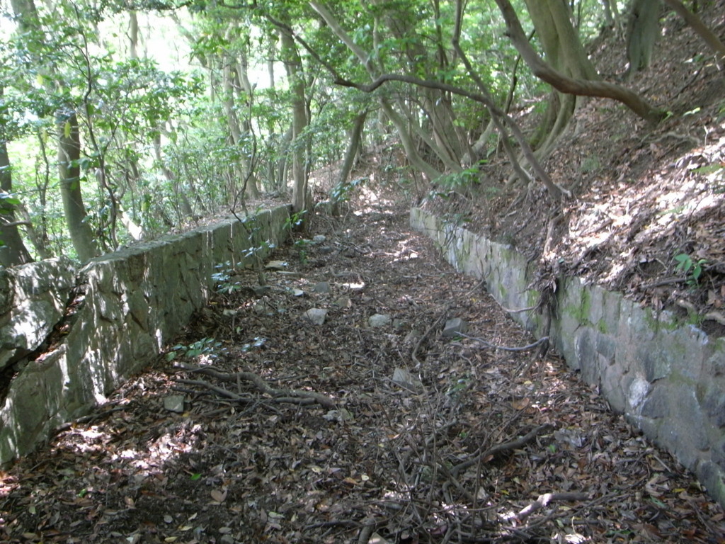 f:id:Yagyu8bei:20180603122233j:plain f:id:Yagyu8bei:20180603122233j:plain