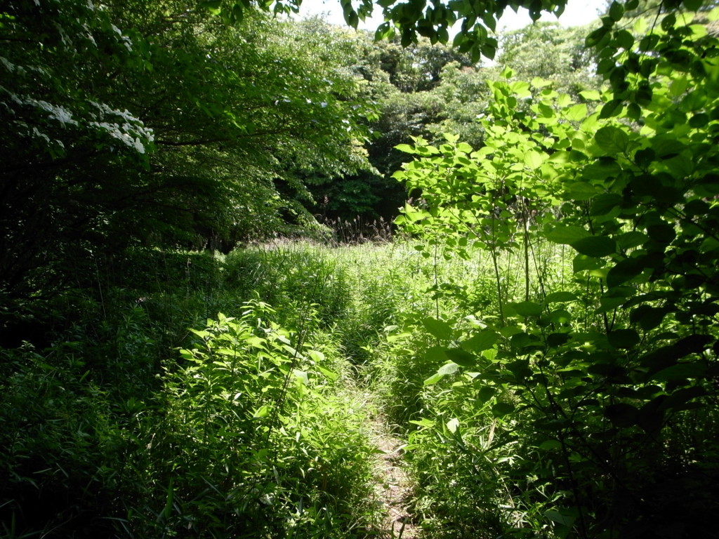 f:id:Yagyu8bei:20180603122902j:plain f:id:Yagyu8bei:20180603122902j:plain