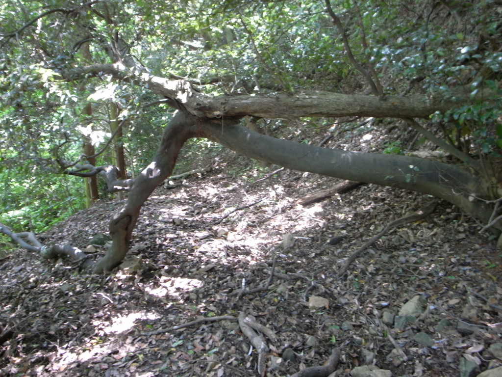 f:id:Yagyu8bei:20180603123120j:plain f:id:Yagyu8bei:20180603123120j:plain