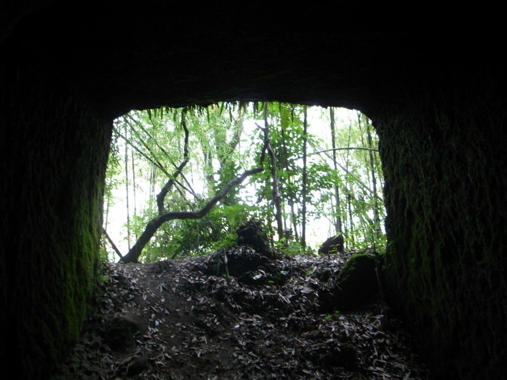 f:id:Yagyu8bei:20180805121006j:plain f:id:Yagyu8bei:20180805121006j:plain