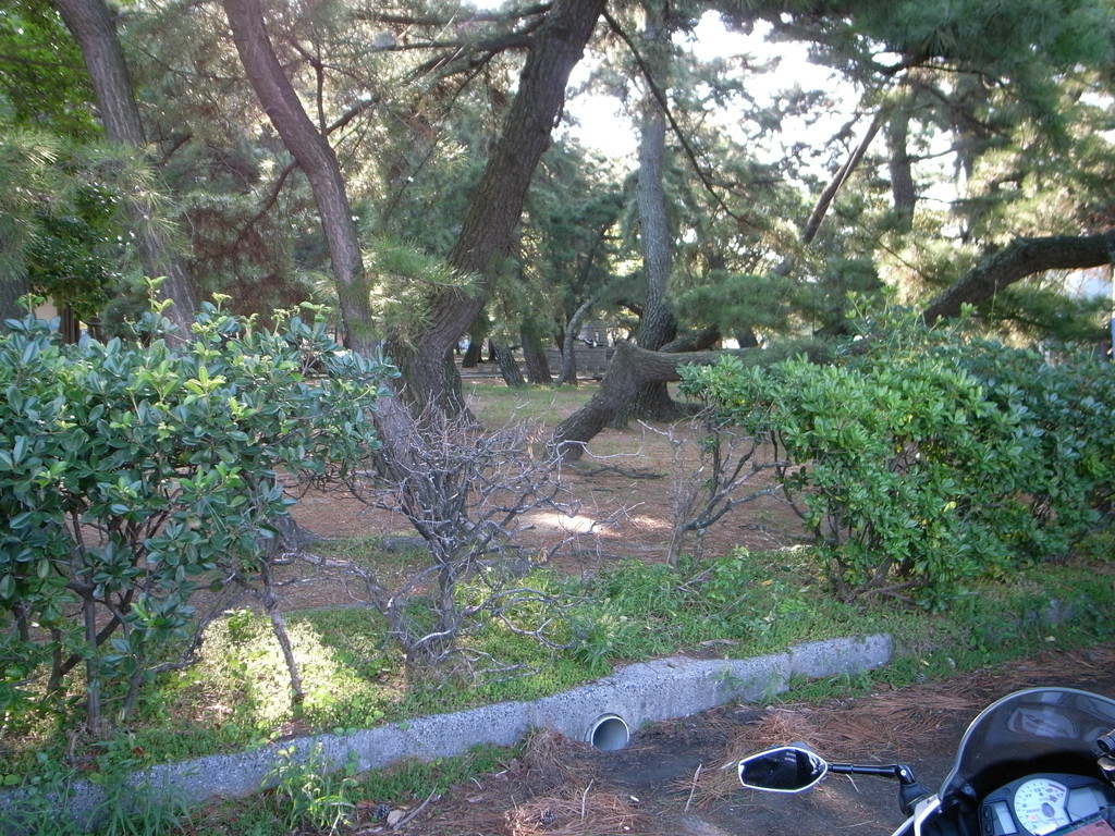 f:id:Yagyu8bei:20180916080132j:plain f:id:Yagyu8bei:20180916080132j:plain