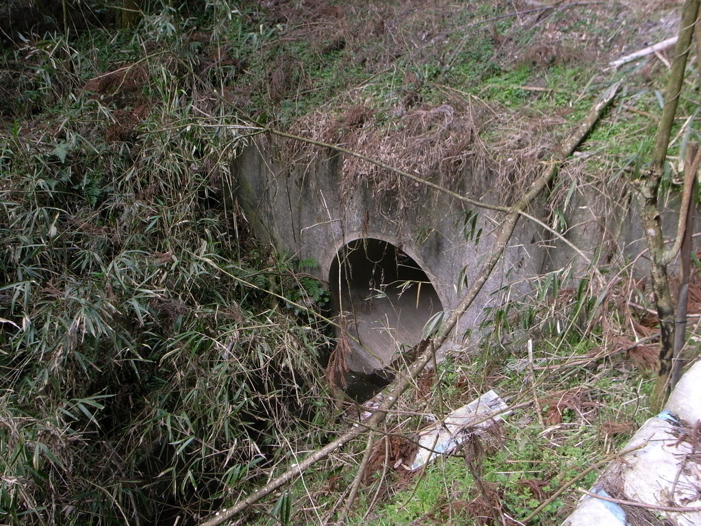 f:id:Yagyu8bei:20190217133655j:plain