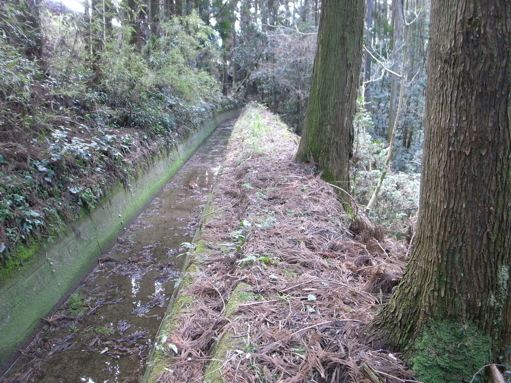 f:id:Yagyu8bei:20190217140429j:plain