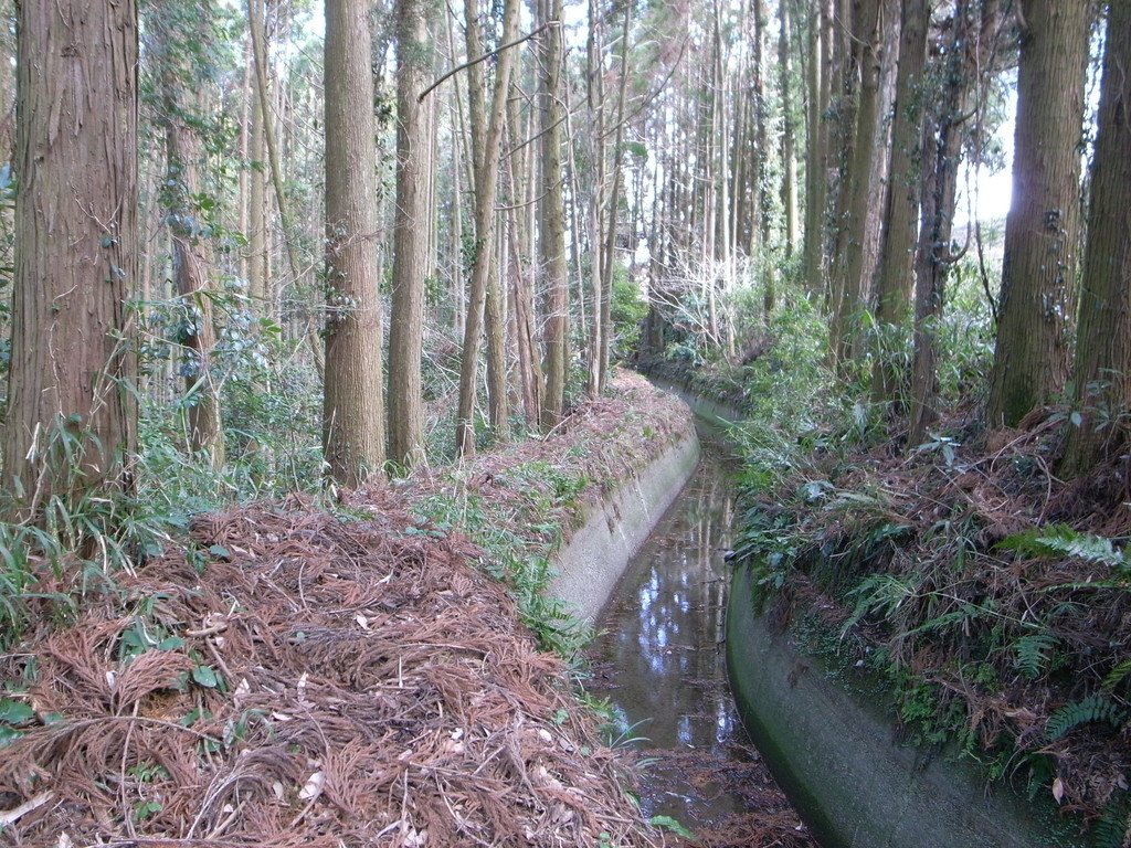 f:id:Yagyu8bei:20190217140551j:plain