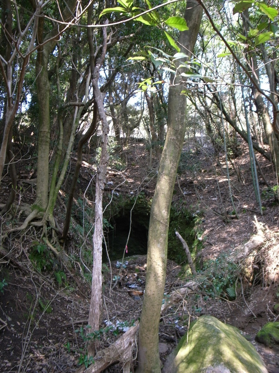 f:id:Yagyu8bei:20190317121529j:plain