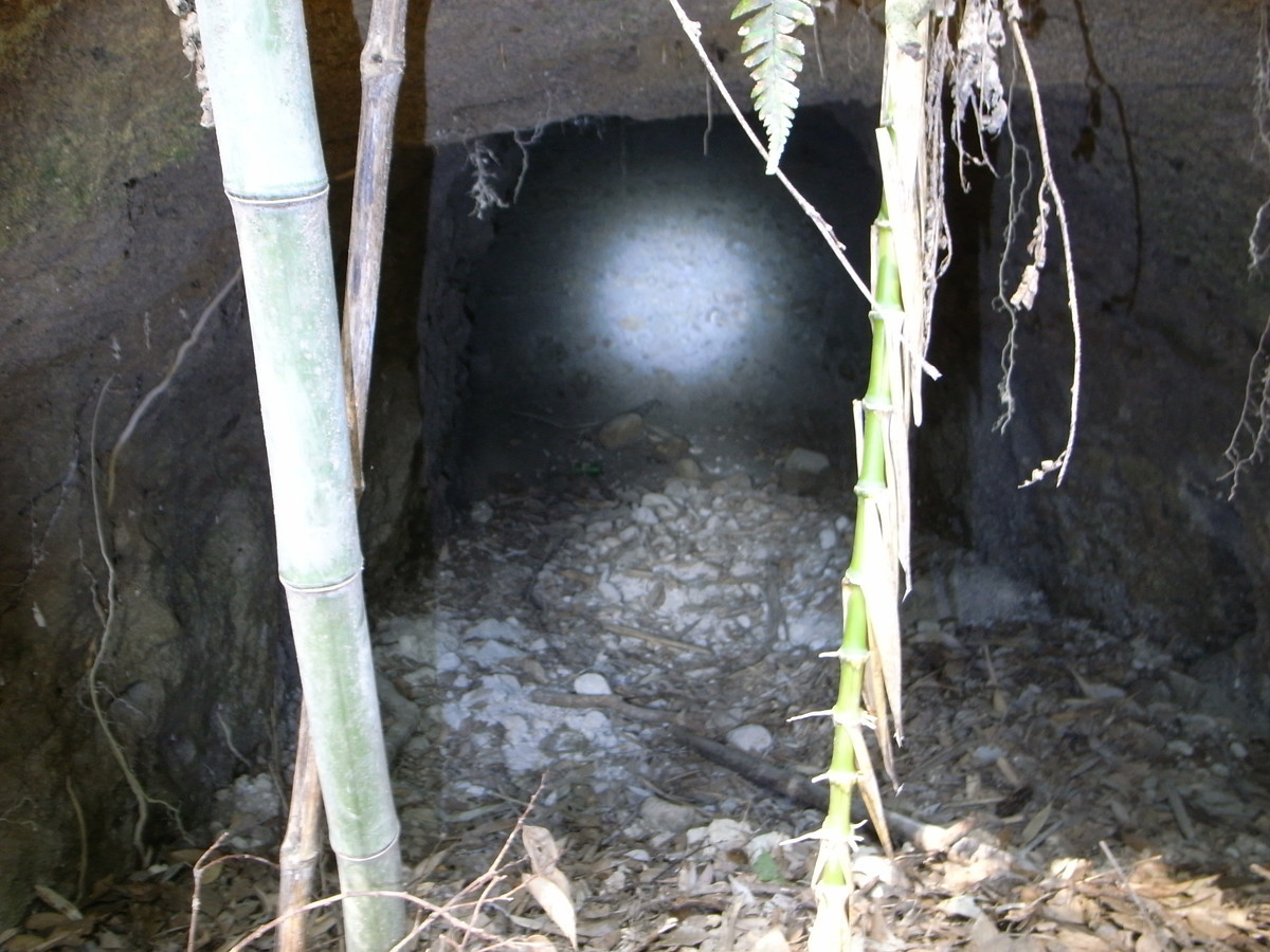 f:id:Yagyu8bei:20190317121659j:plain