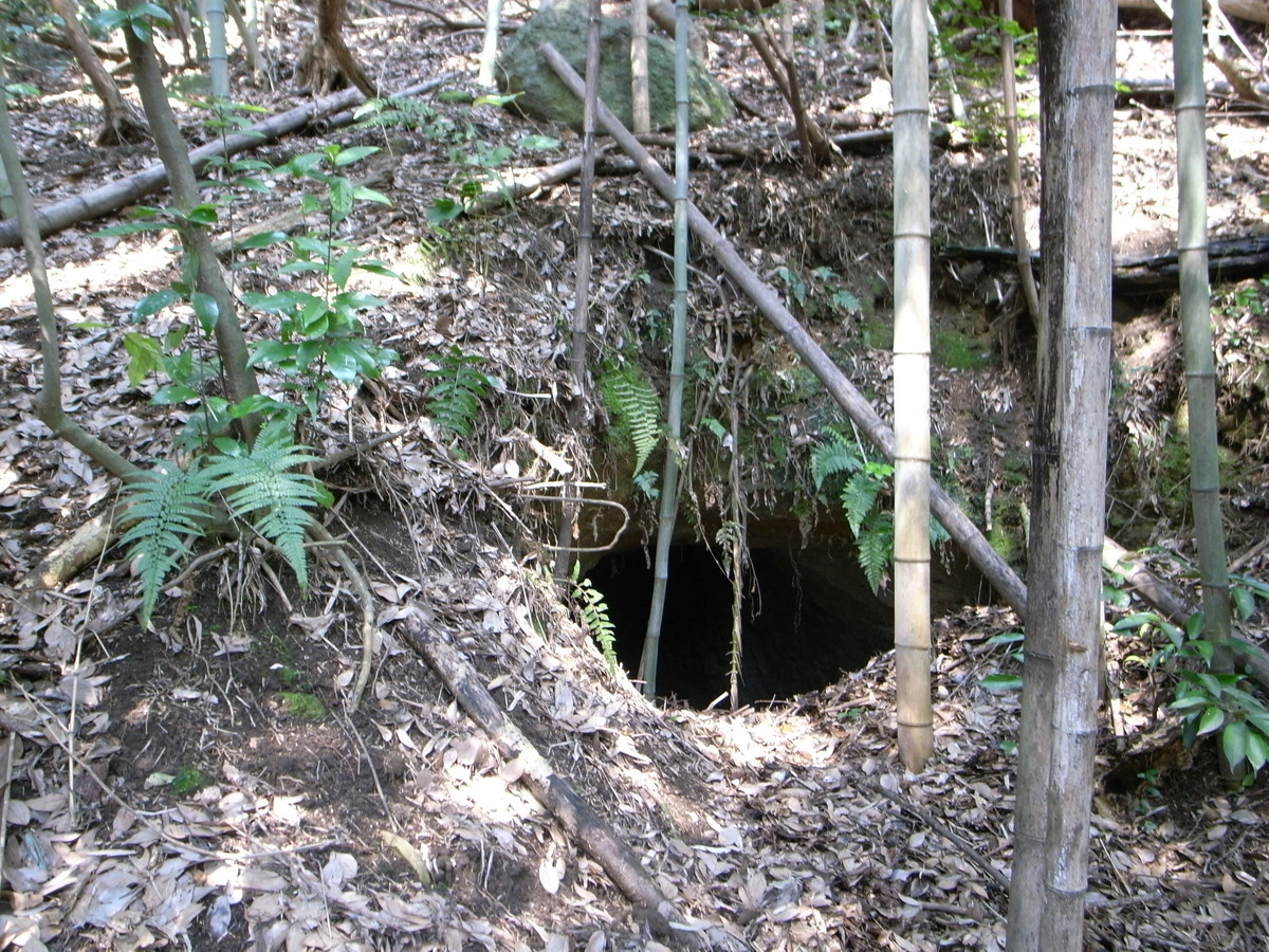 f:id:Yagyu8bei:20190317121737j:plain