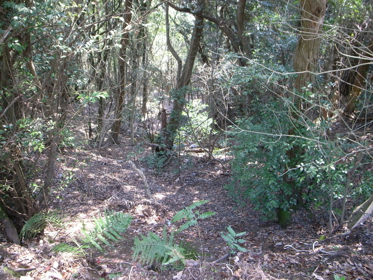 f:id:Yagyu8bei:20190317122337j:plain