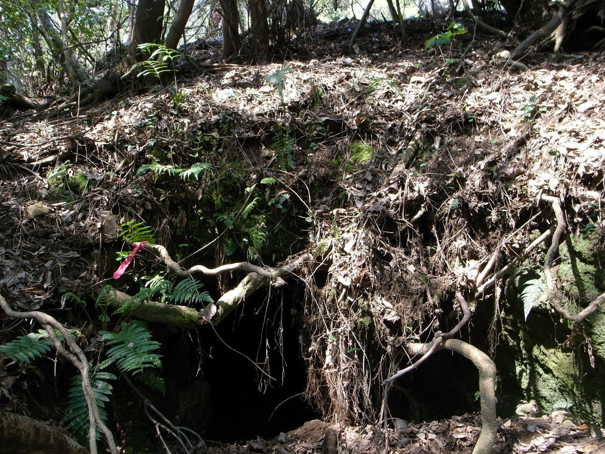 f:id:Yagyu8bei:20190317122650j:plain