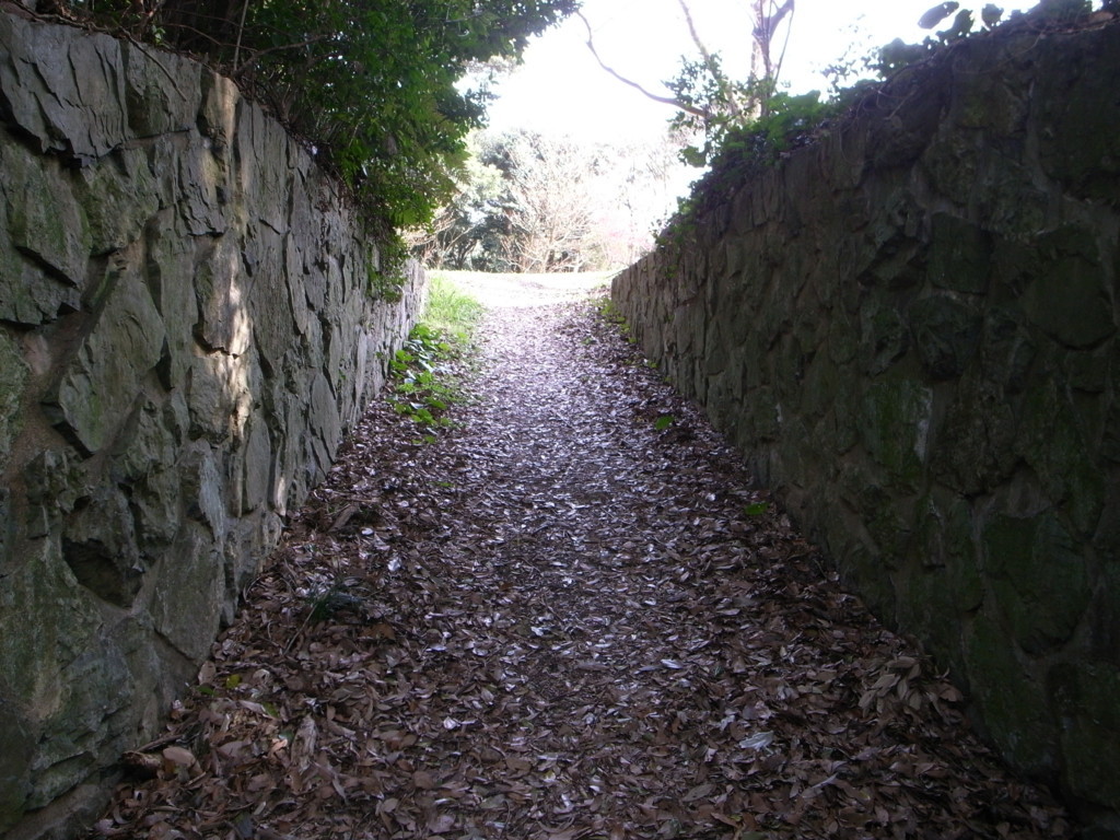 f:id:Yagyu8bei:20190401145851j:plain