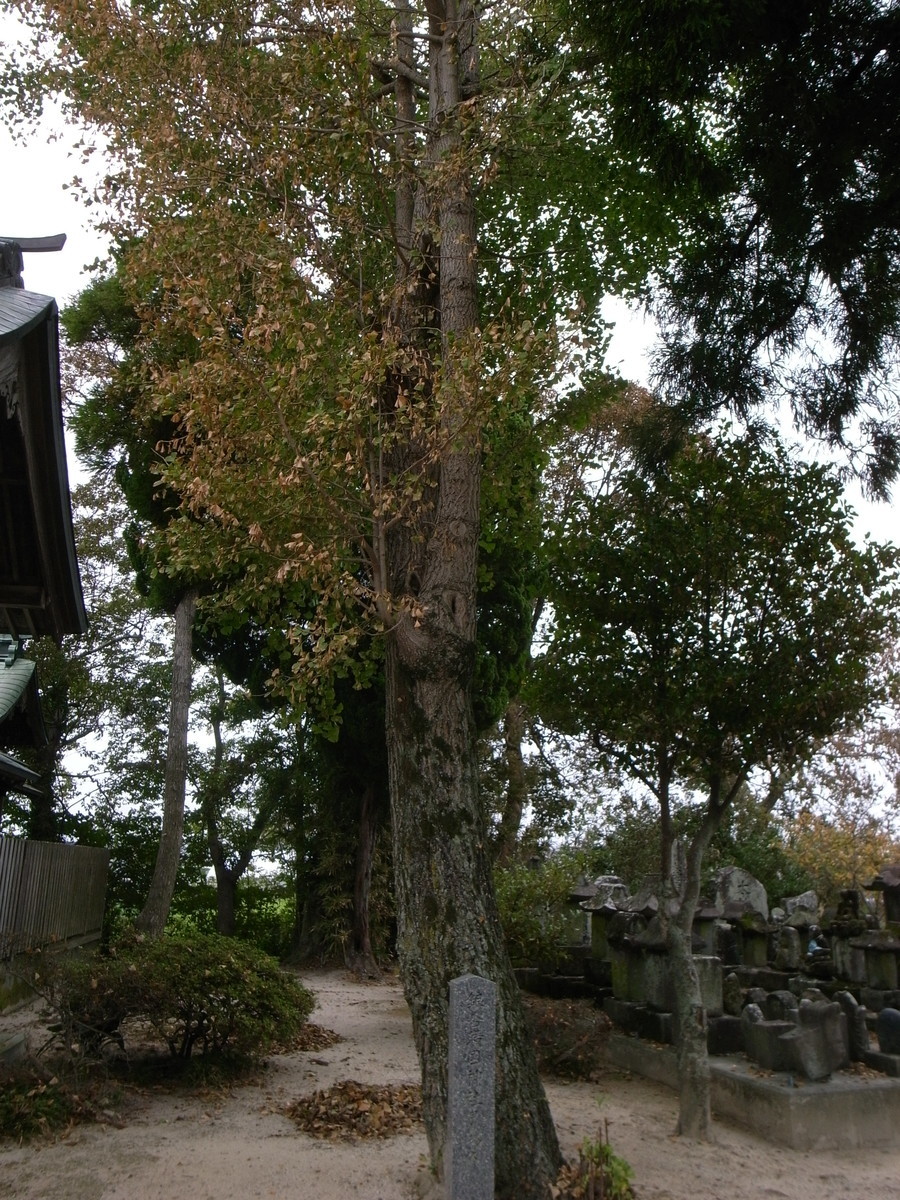 f:id:Yagyu8bei:20190929110512j:plain