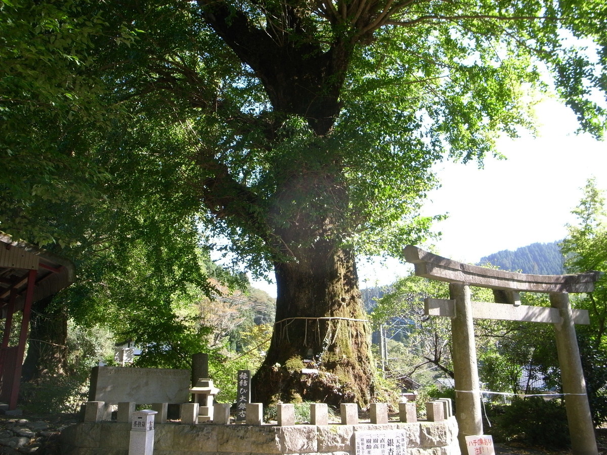 f:id:Yagyu8bei:20191013141959j:plain