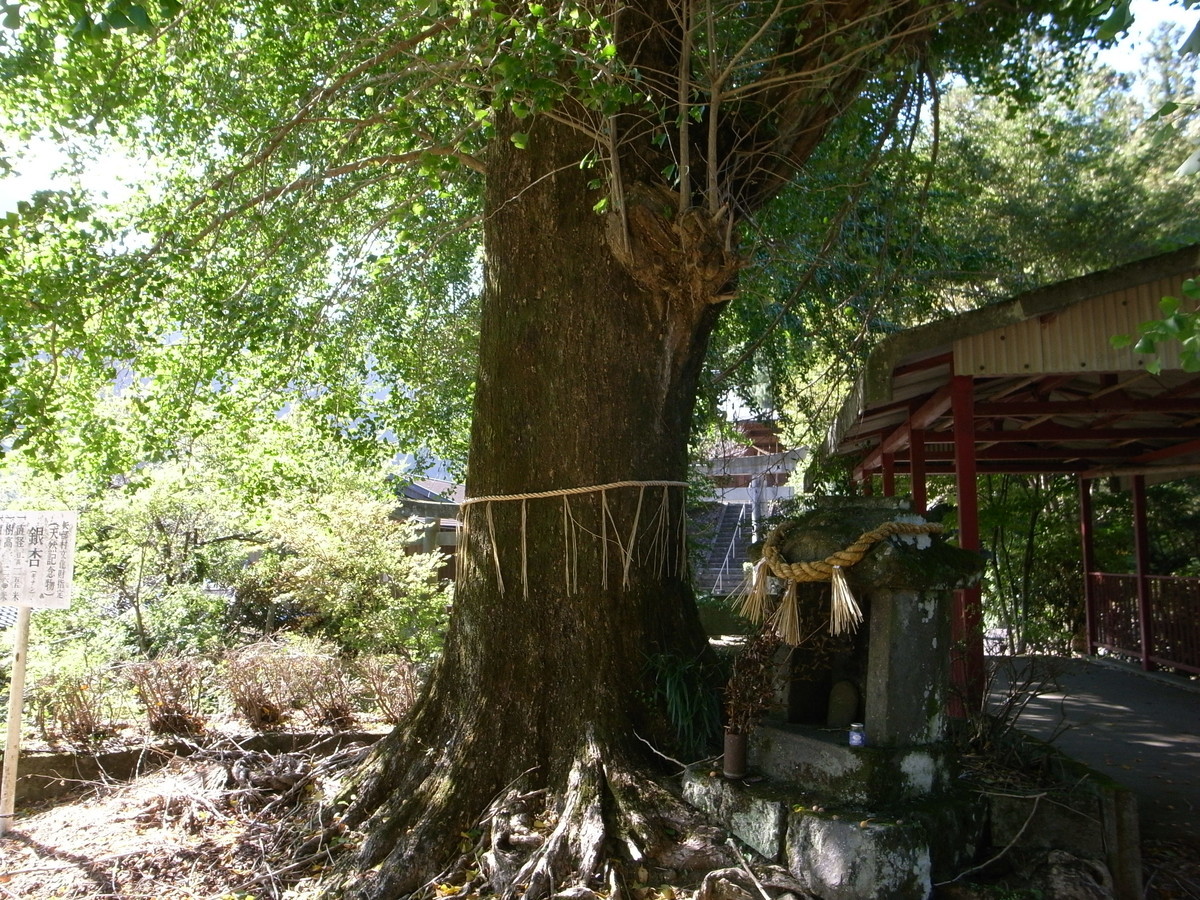 f:id:Yagyu8bei:20191013142038j:plain