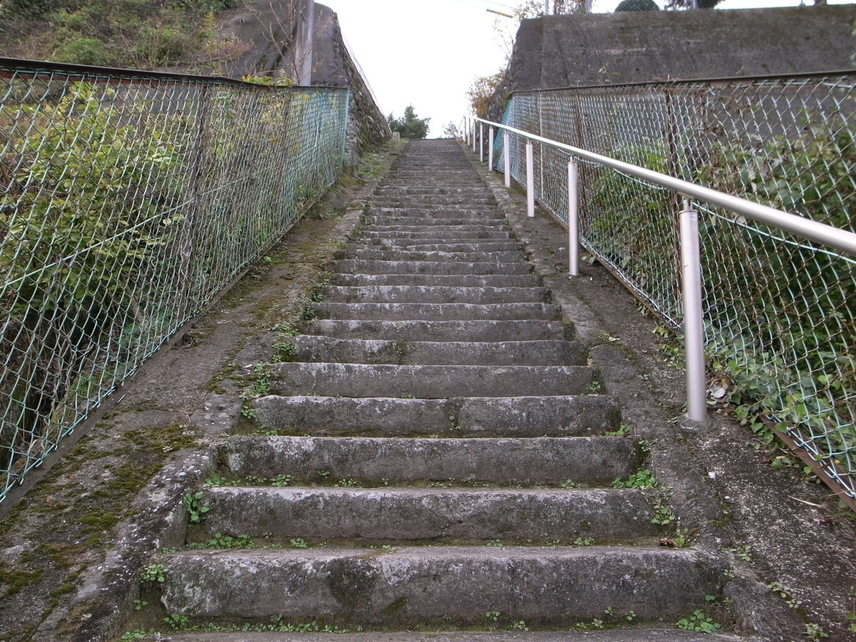 f:id:Yagyu8bei:20191117123747j:plain