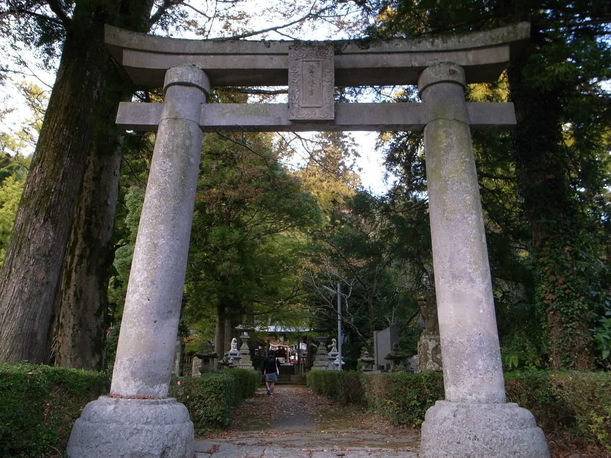 f:id:Yagyu8bei:20191117155127j:plain