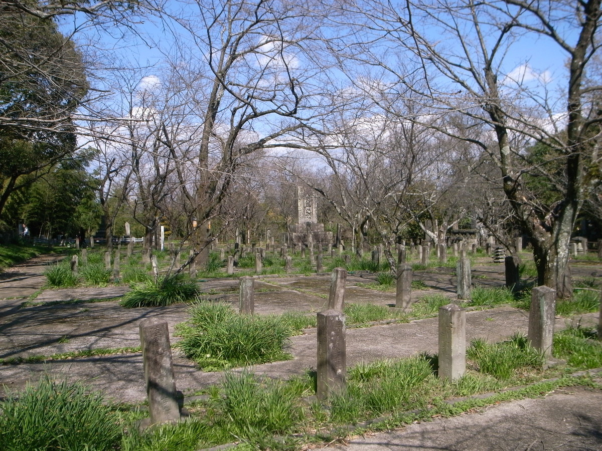 f:id:Yagyu8bei:20200317205852j:plain