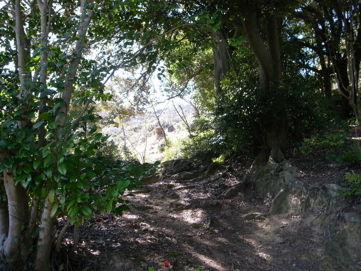 f:id:Yagyu8bei:20200320133706j:plain