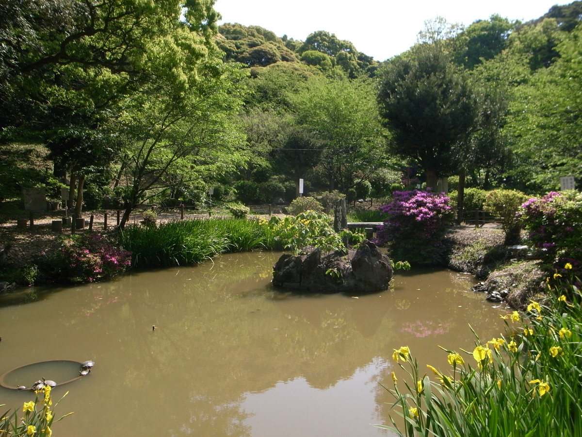 f:id:Yagyu8bei:20200429095103j:plain