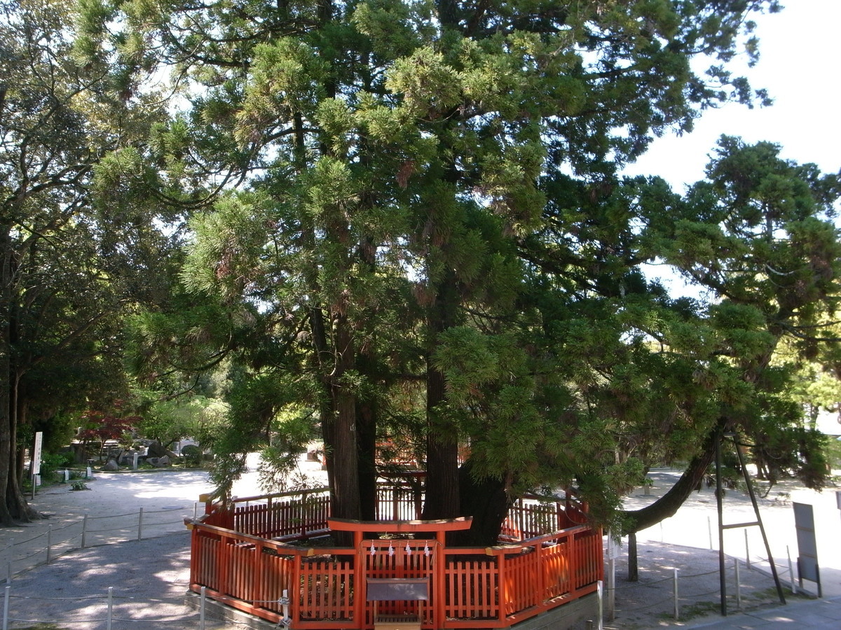 f:id:Yagyu8bei:20200429100017j:plain