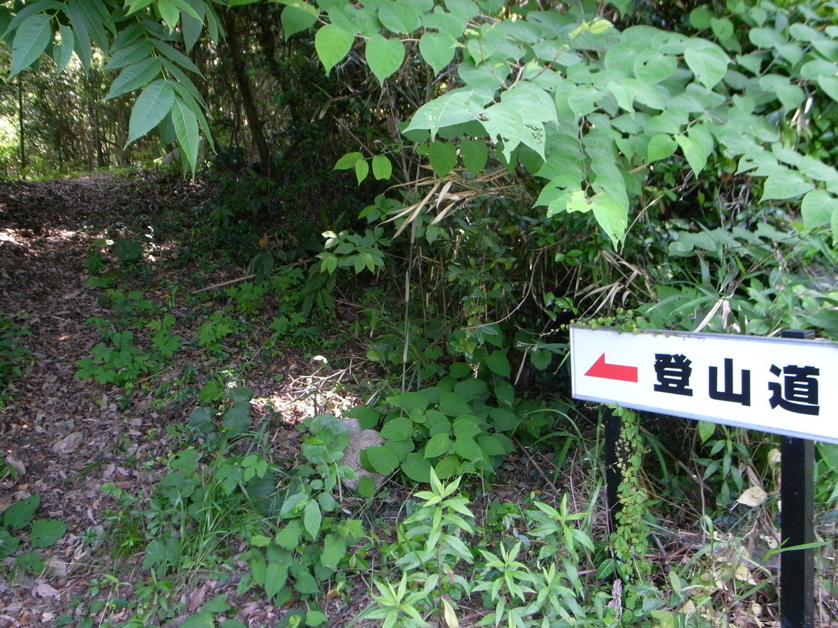 f:id:Yagyu8bei:20200607115829j:plain