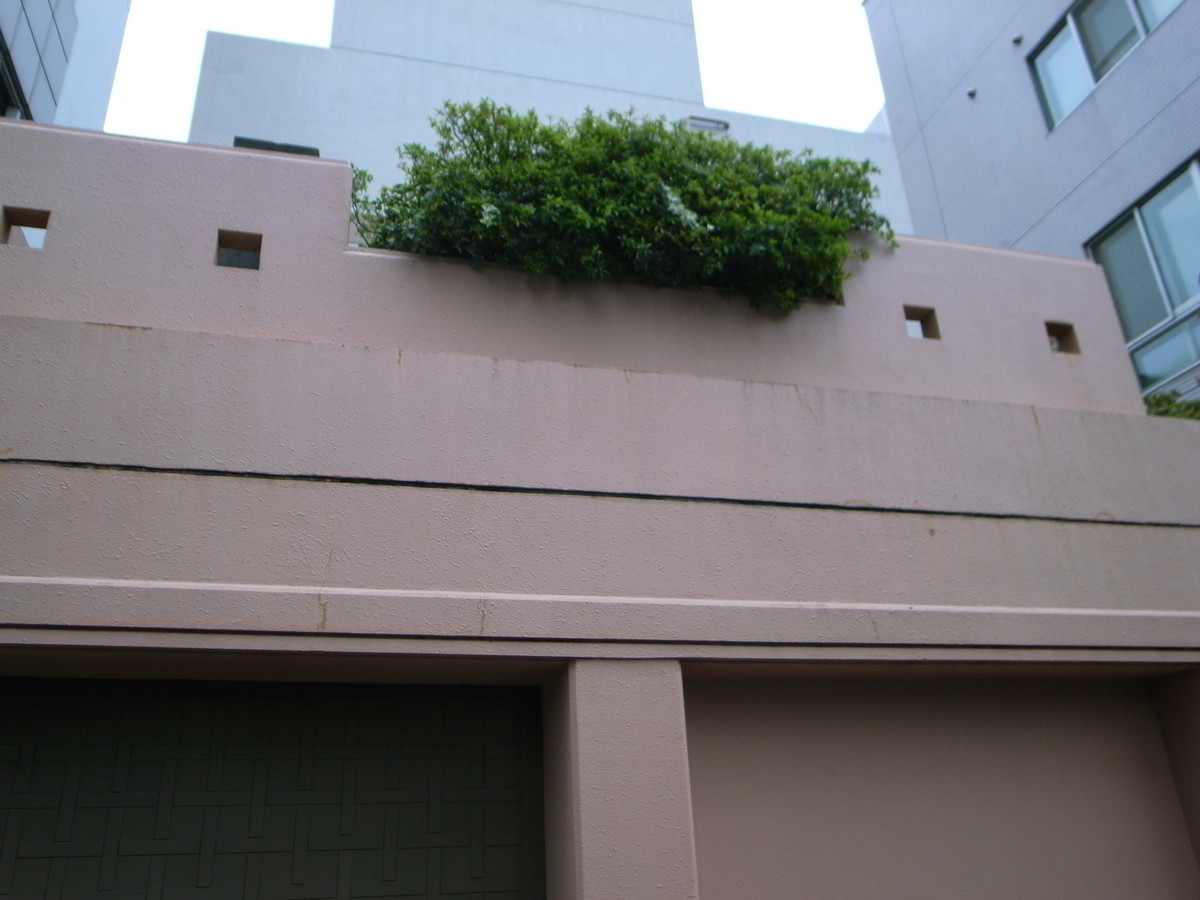 f:id:Yagyu8bei:20200921070324j:plain