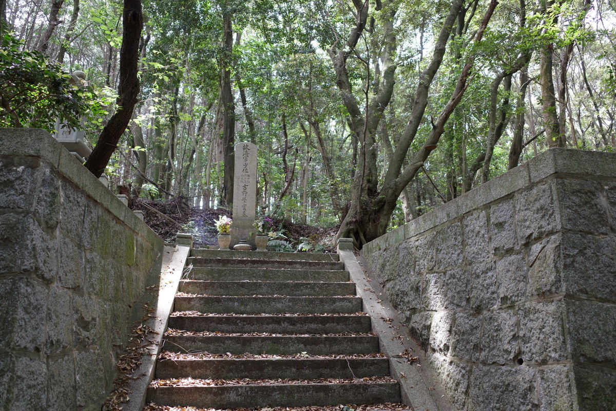 f:id:Yagyu8bei:20210504103054j:plain