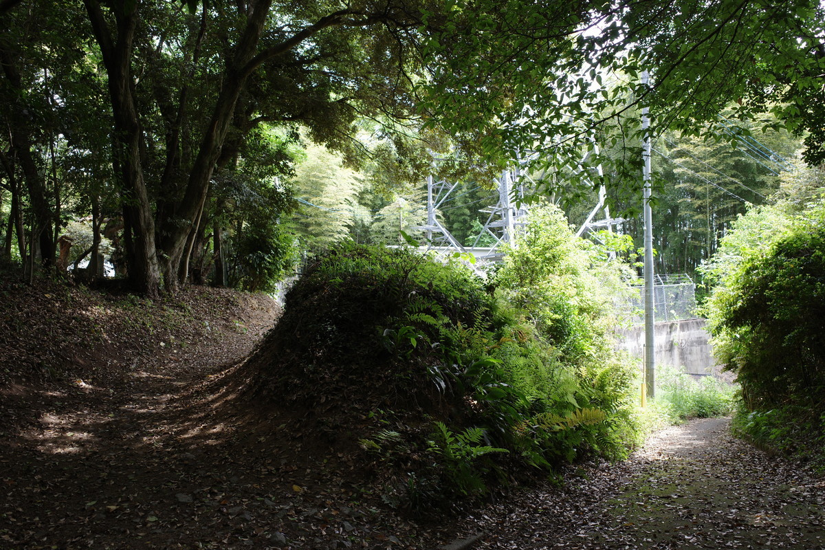 f:id:Yagyu8bei:20210504103103j:plain