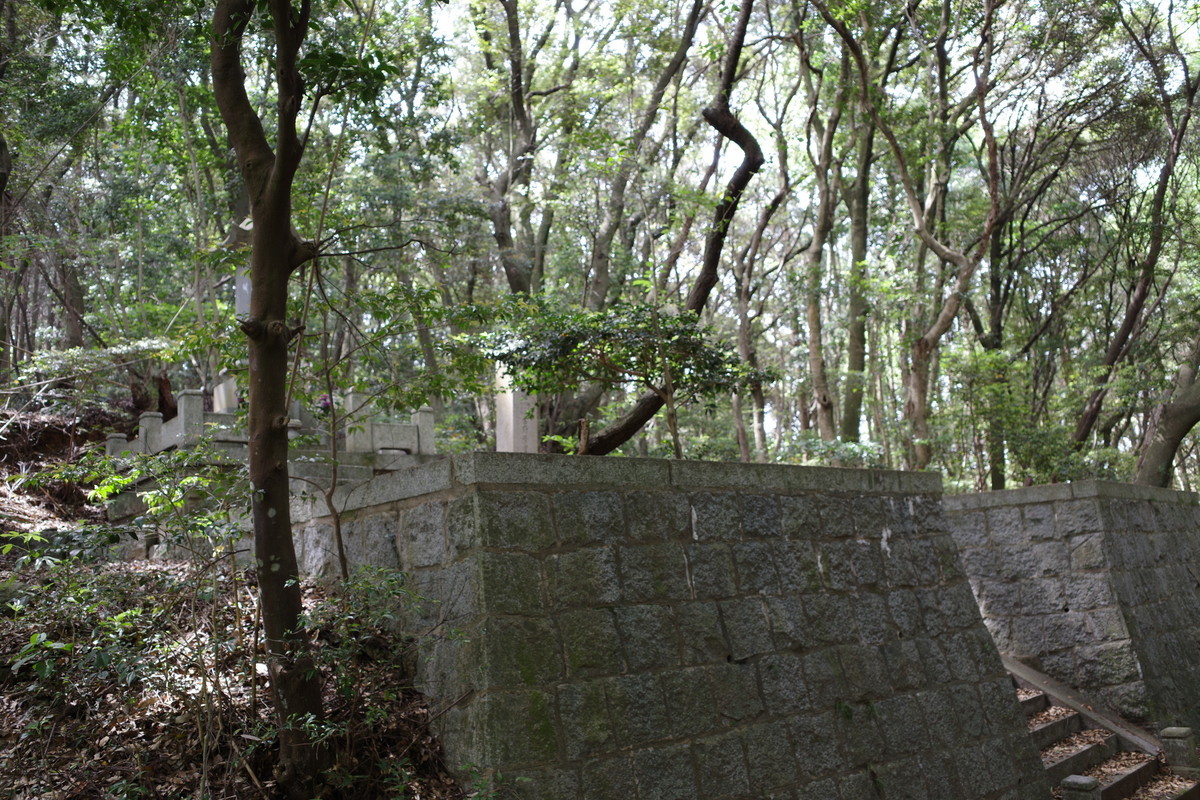 f:id:Yagyu8bei:20210504103109j:plain