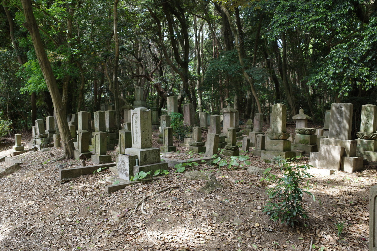 f:id:Yagyu8bei:20210504103143j:plain