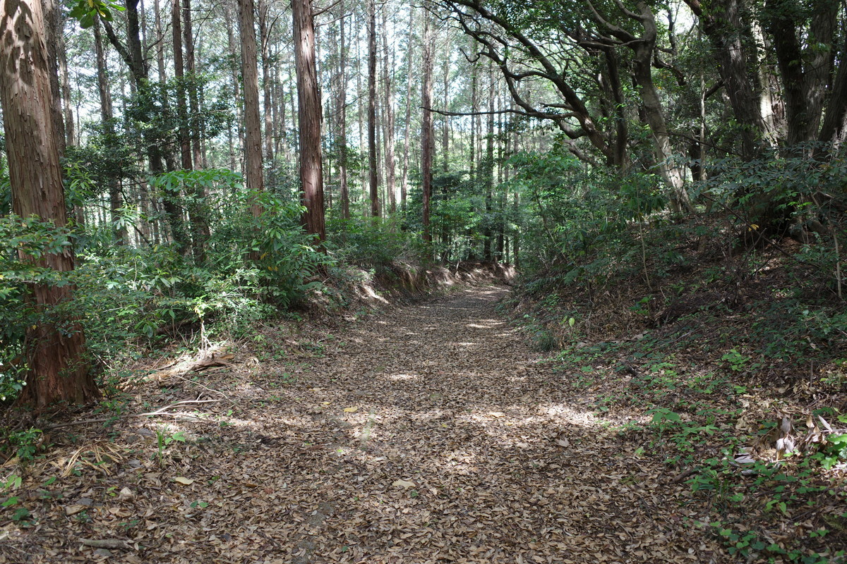 f:id:Yagyu8bei:20210504103313j:plain