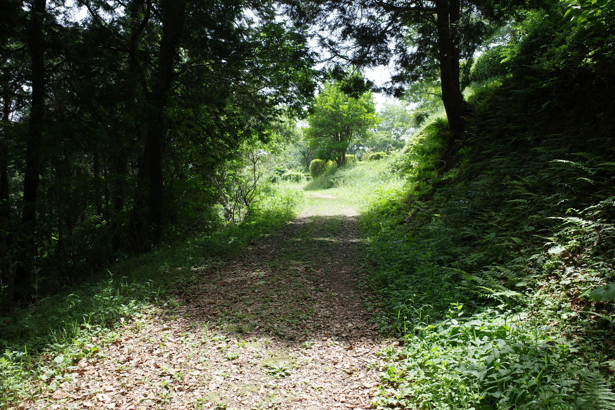 f:id:Yagyu8bei:20210509104120j:plain