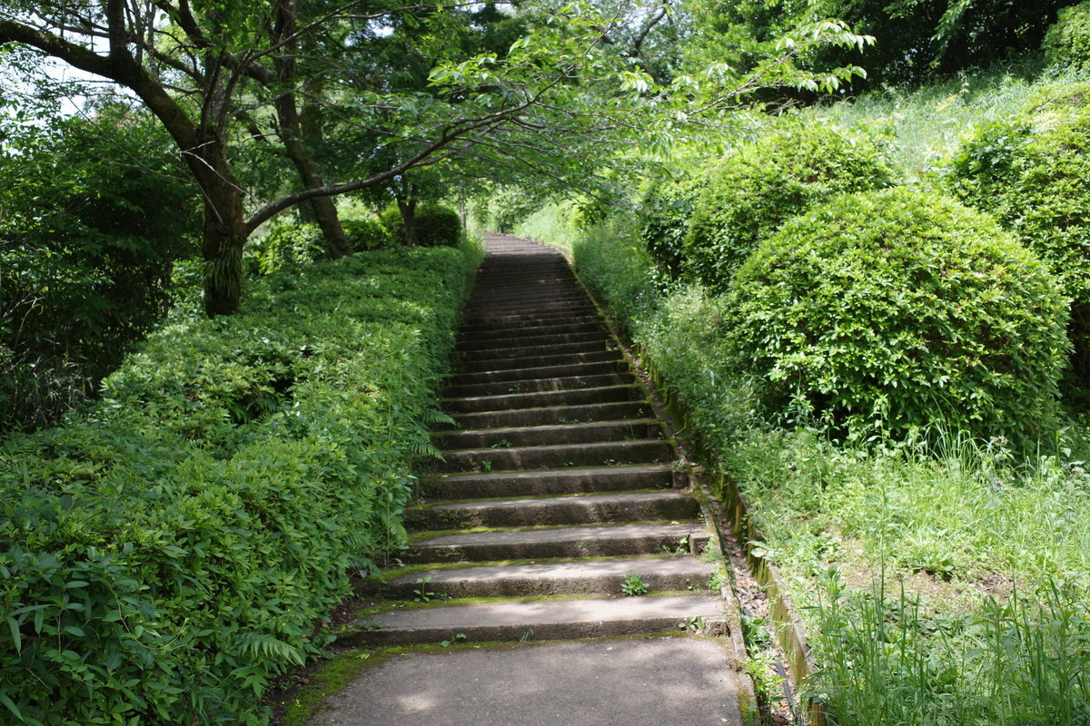 f:id:Yagyu8bei:20210509104222j:plain