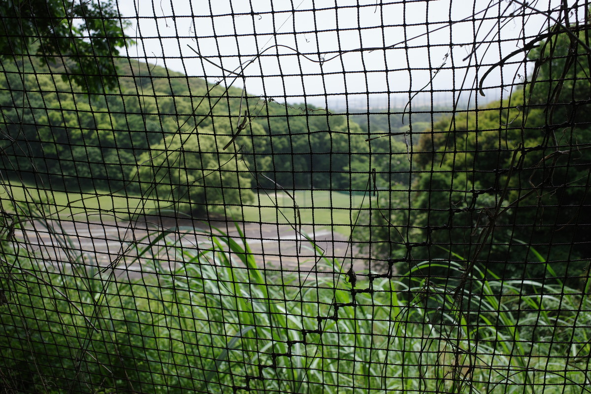 f:id:Yagyu8bei:20210509105353j:plain