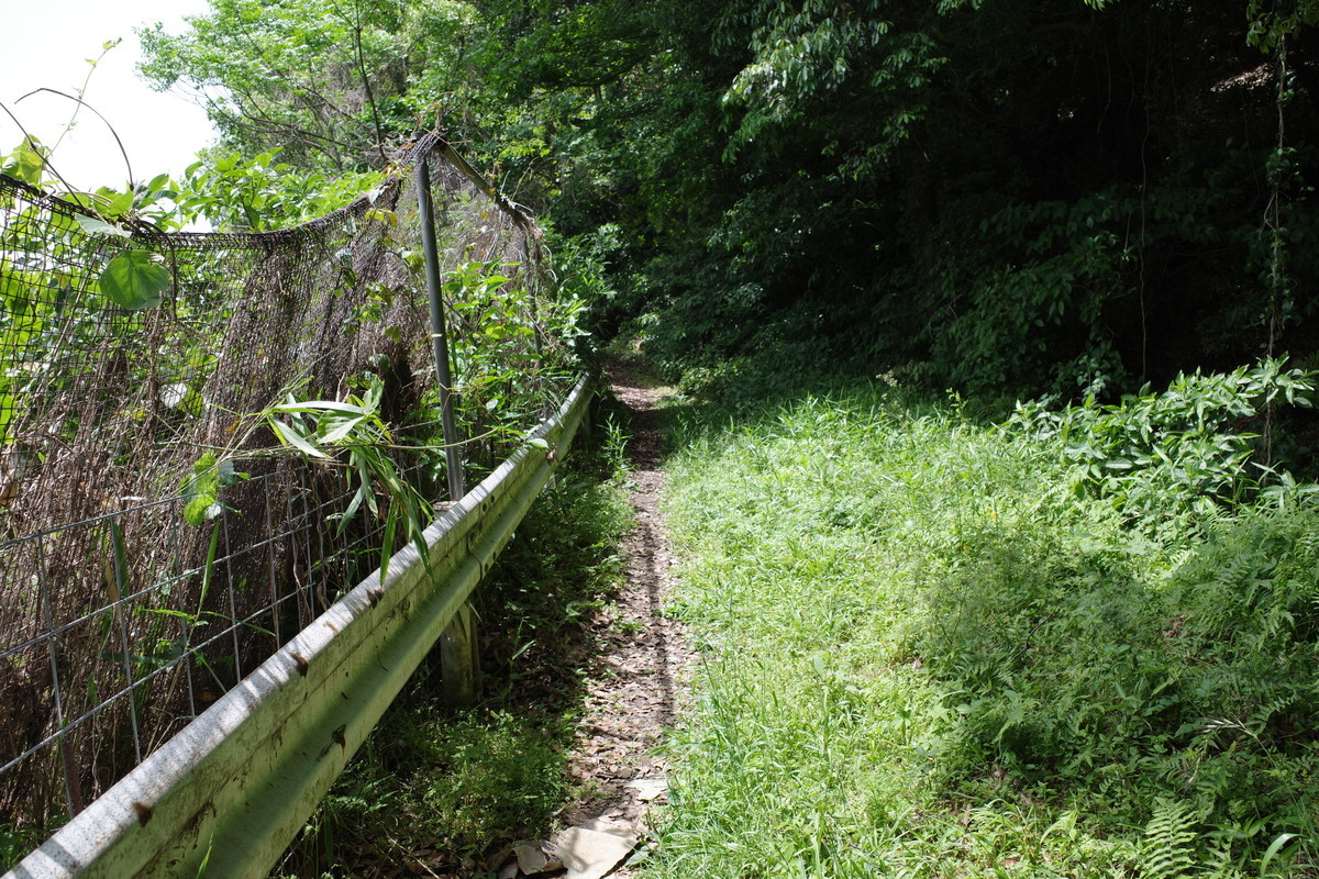 f:id:Yagyu8bei:20210509105357j:plain