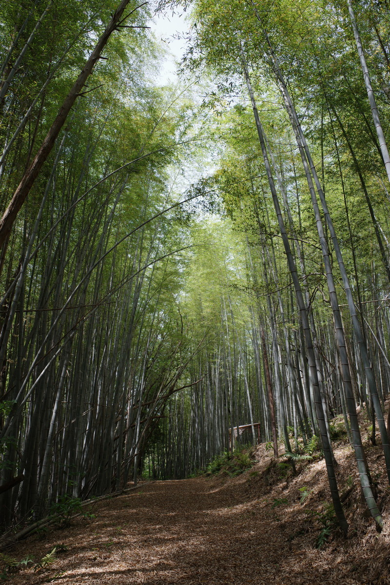 f:id:Yagyu8bei:20210509110241j:plain