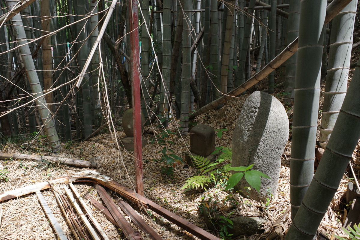 f:id:Yagyu8bei:20210509110344j:plain