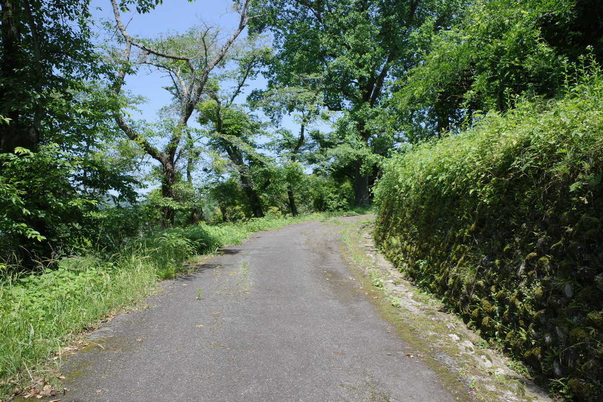 f:id:Yagyu8bei:20210530135702j:plain