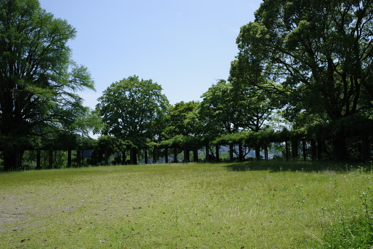 f:id:Yagyu8bei:20210530135733j:plain