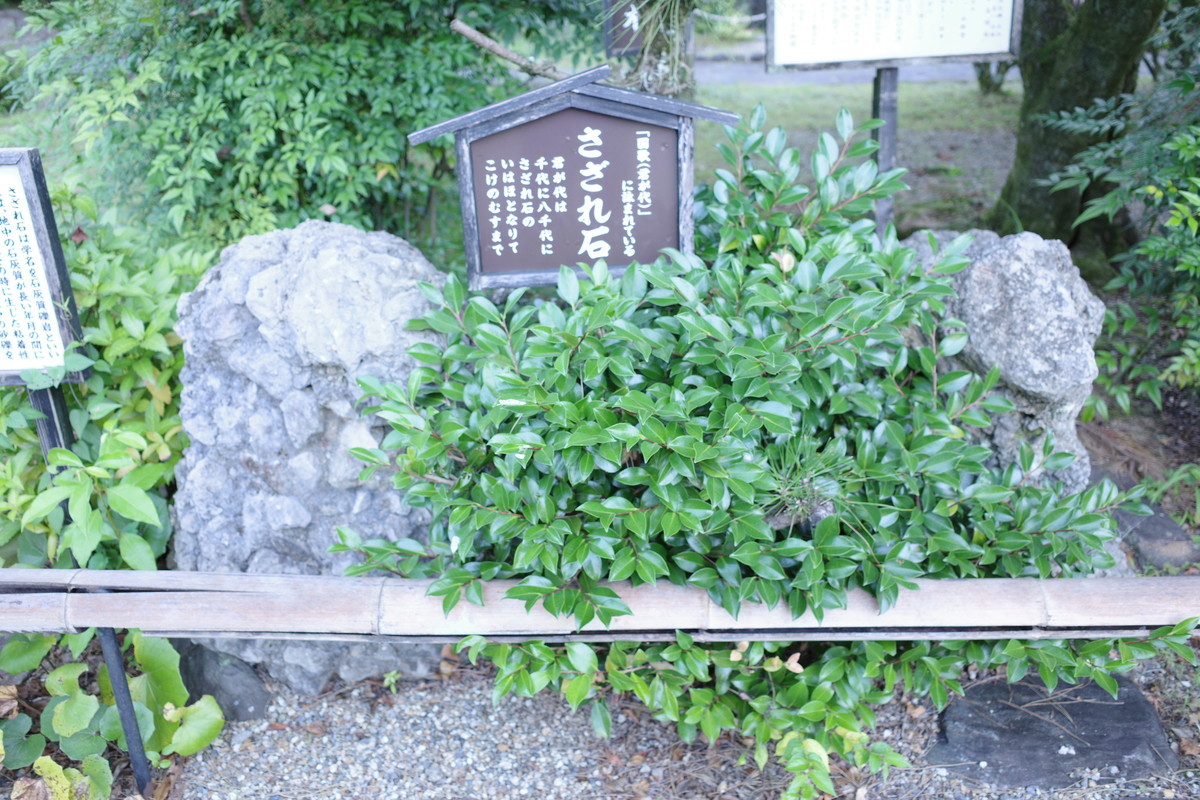 f:id:Yagyu8bei:20210722063819j:plain