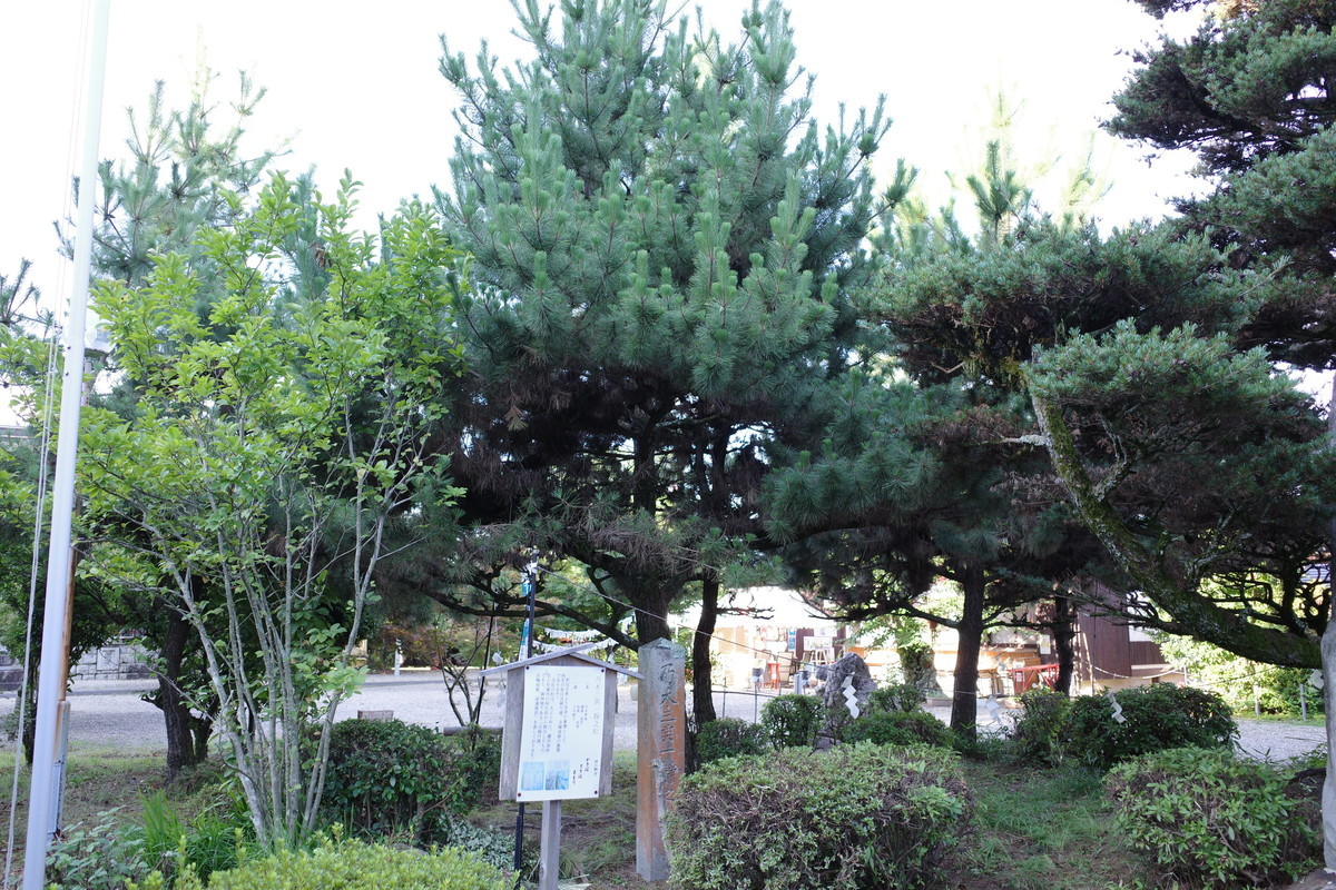 f:id:Yagyu8bei:20210722064427j:plain