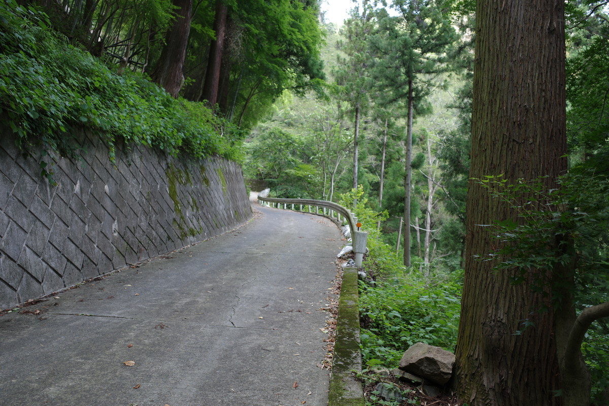 f:id:Yagyu8bei:20210722162841j:plain