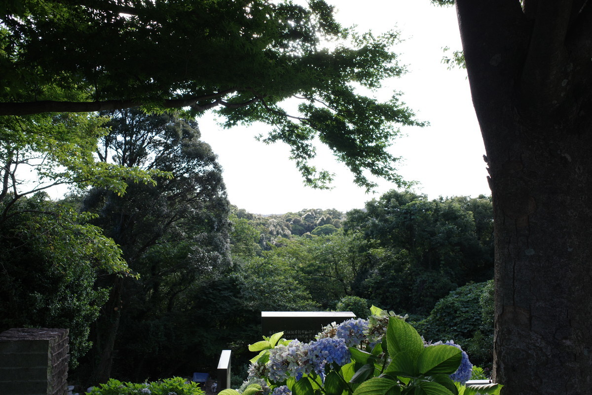 f:id:Yagyu8bei:20210723171548j:plain