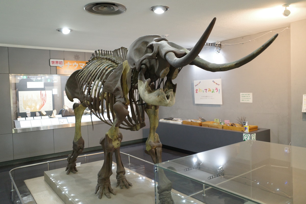 f:id:Yagyu8bei:20211012090443j:plain