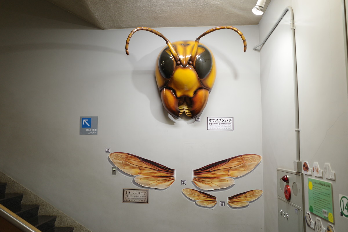 f:id:Yagyu8bei:20211012090522j:plain