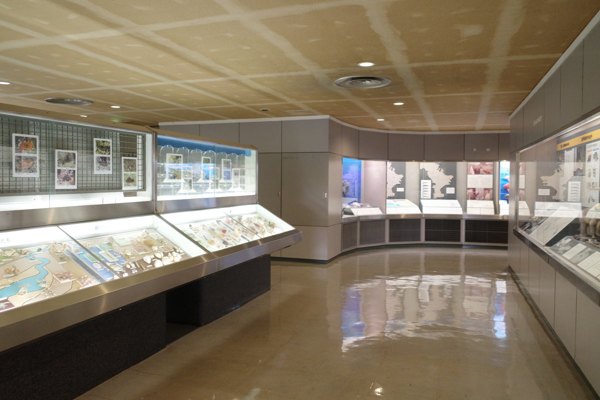 f:id:Yagyu8bei:20211012091658j:plain