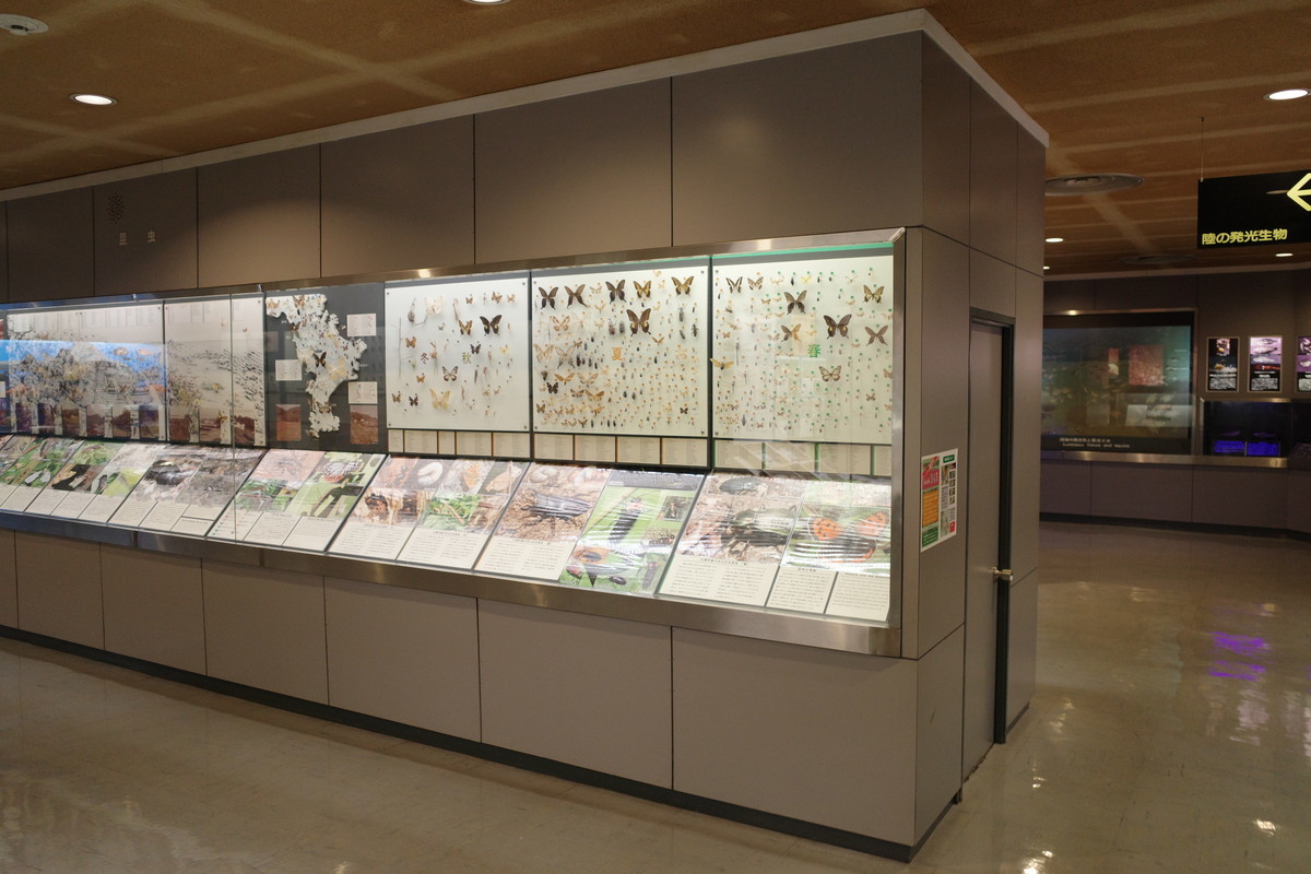 f:id:Yagyu8bei:20211012091701j:plain