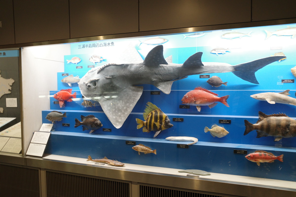 f:id:Yagyu8bei:20211012091714j:plain