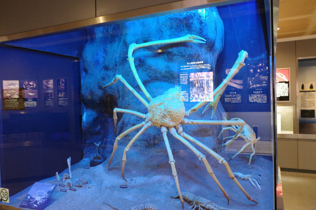 f:id:Yagyu8bei:20211012091729j:plain